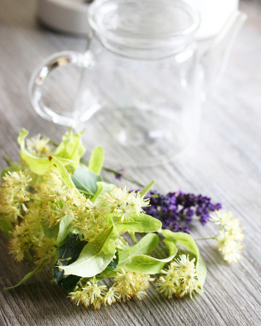 The Role of Herbal Remedies in Modern Health