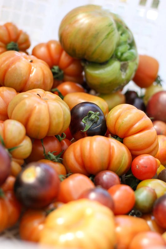 Superfoods A Daily Addition for Better Health