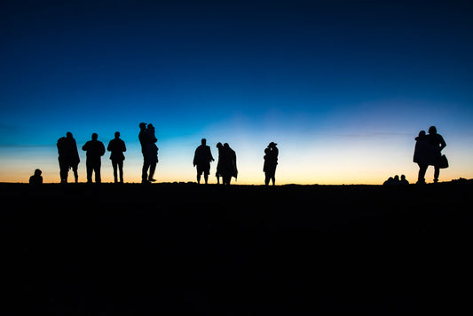 Nurturing Relationships for Enhanced Mental Wellness