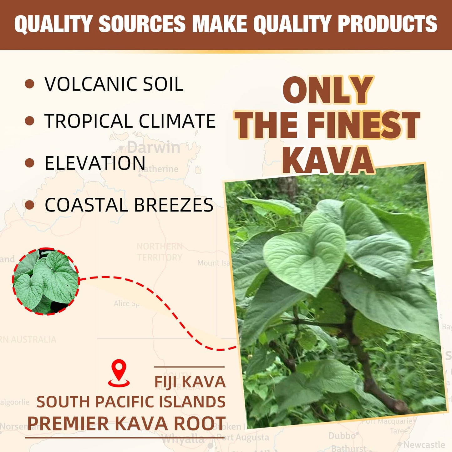 Kava Kava Root Extract Supplement: Natural Kava Gummies with L Theanine, Ashwagandha and GABA for Cognitive & Immune Support Herbal Supplement for Adults
