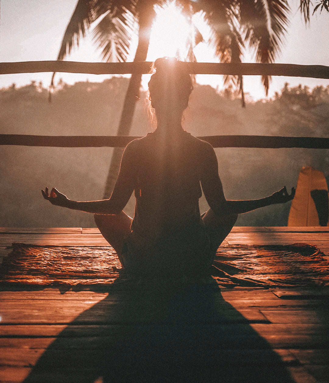The Holistic Path to Health Why It Matters