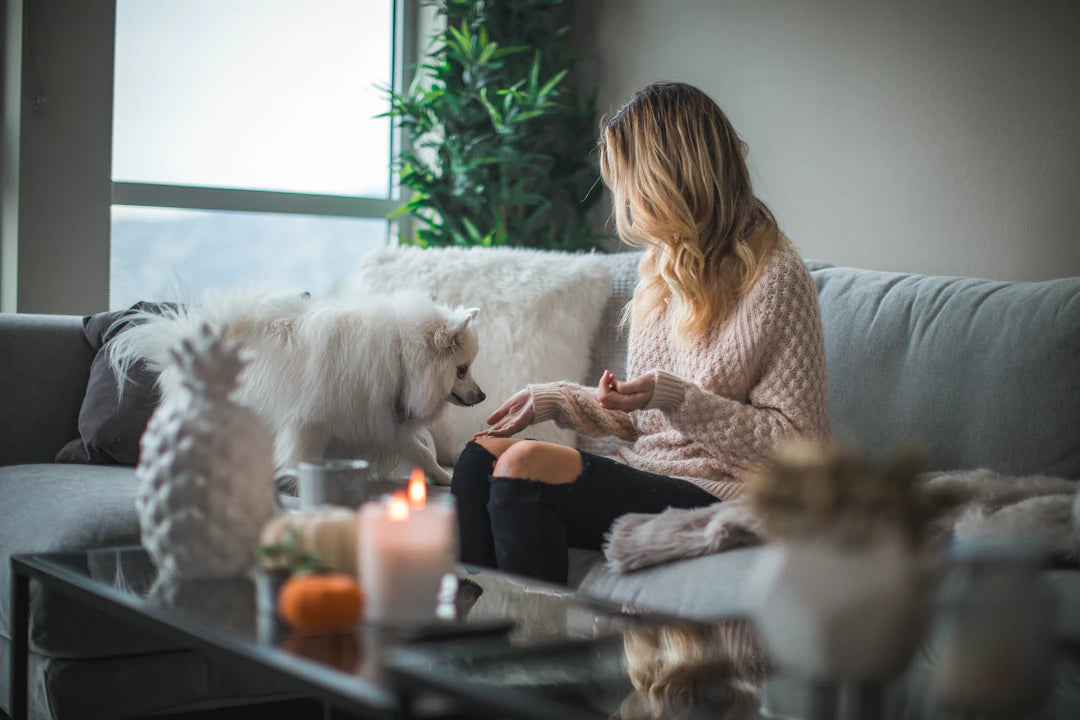 Transform Your Space A Wellness Sanctuary at Home