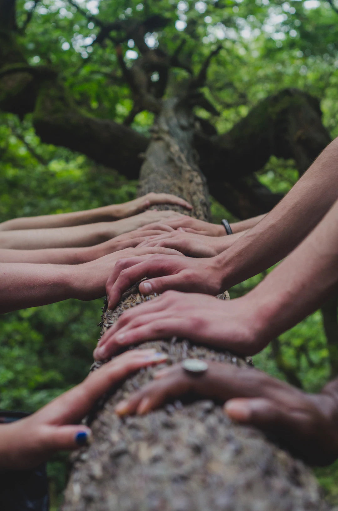 The Power of Community in Health and Wellness