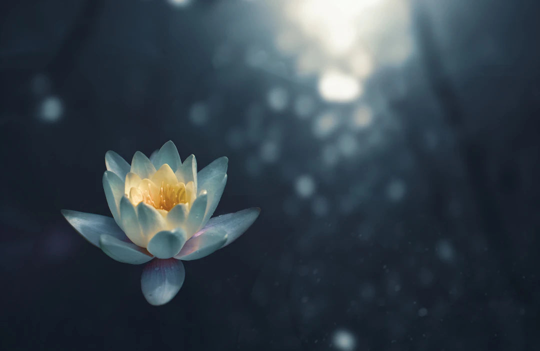 Nature's Embrace Boosting Mental Health Naturally