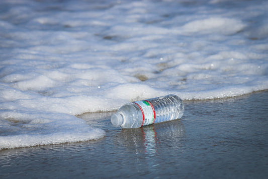 The Essential Guide to Staying Hydrated Every Day