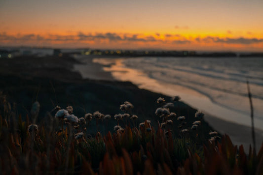 Recharge Your Mind The Power of Digital Detox