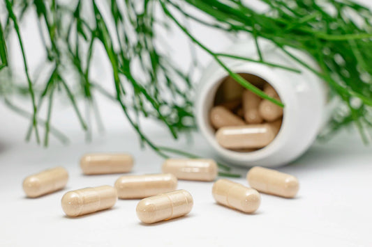 Support Cognitive Function and Sleep Naturally