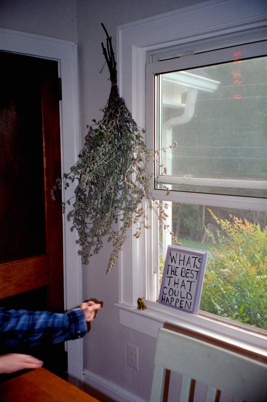 Natural Remedies for Common Ailments You Can Try Today