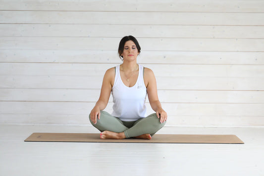 Embrace Wellness Understanding Holistic Health