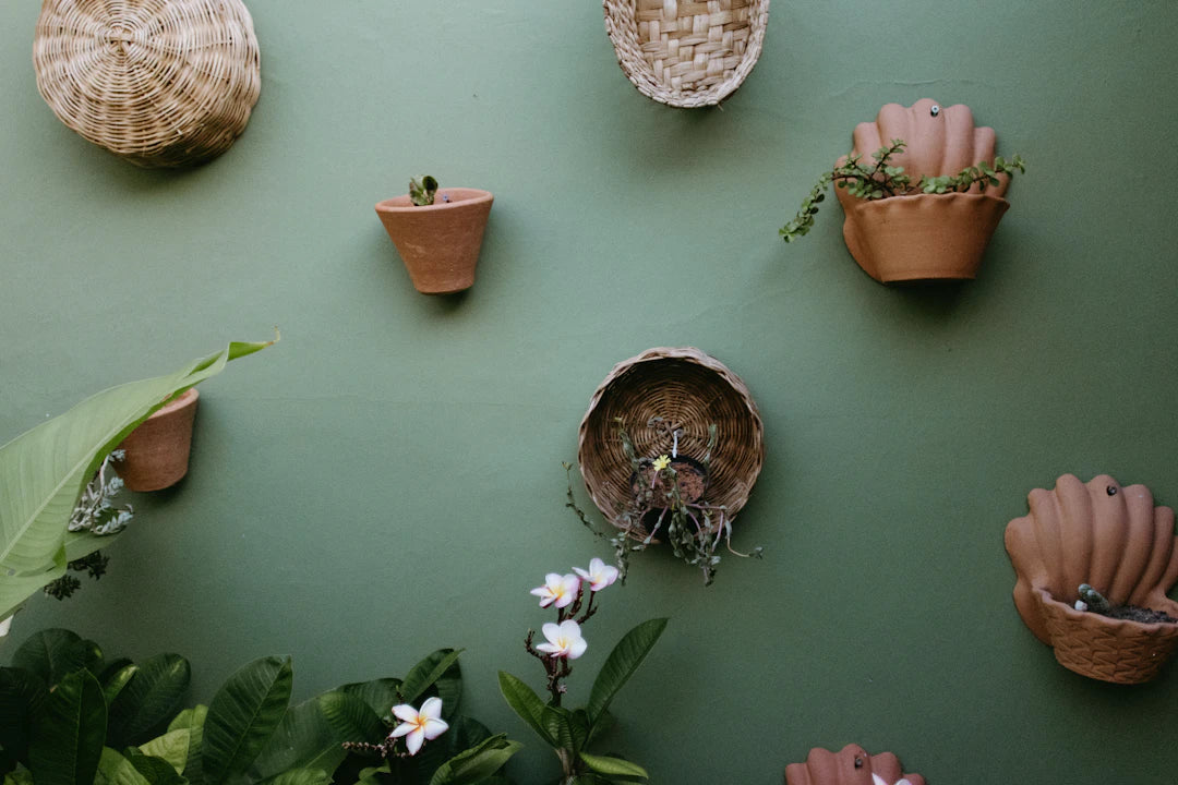 Create a Cozy, Eco-Friendly Home with These Essentials