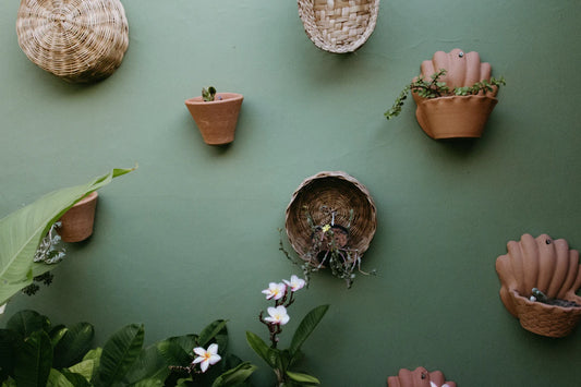 Create a Cozy, Eco-Friendly Home with These Essentials
