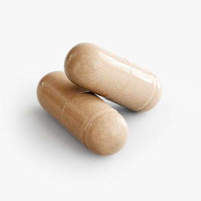 Mushroom Complex 10 X for Health and Immunity