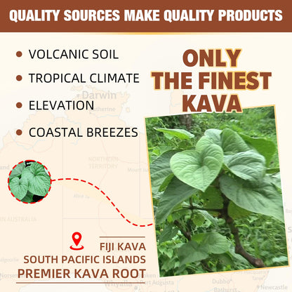 Kava Kava Root Extract Supplement: Natural Kava Gummies with L Theanine, Ashwagandha and GABA for Cognitive & Immune Support Herbal Supplement for Adults