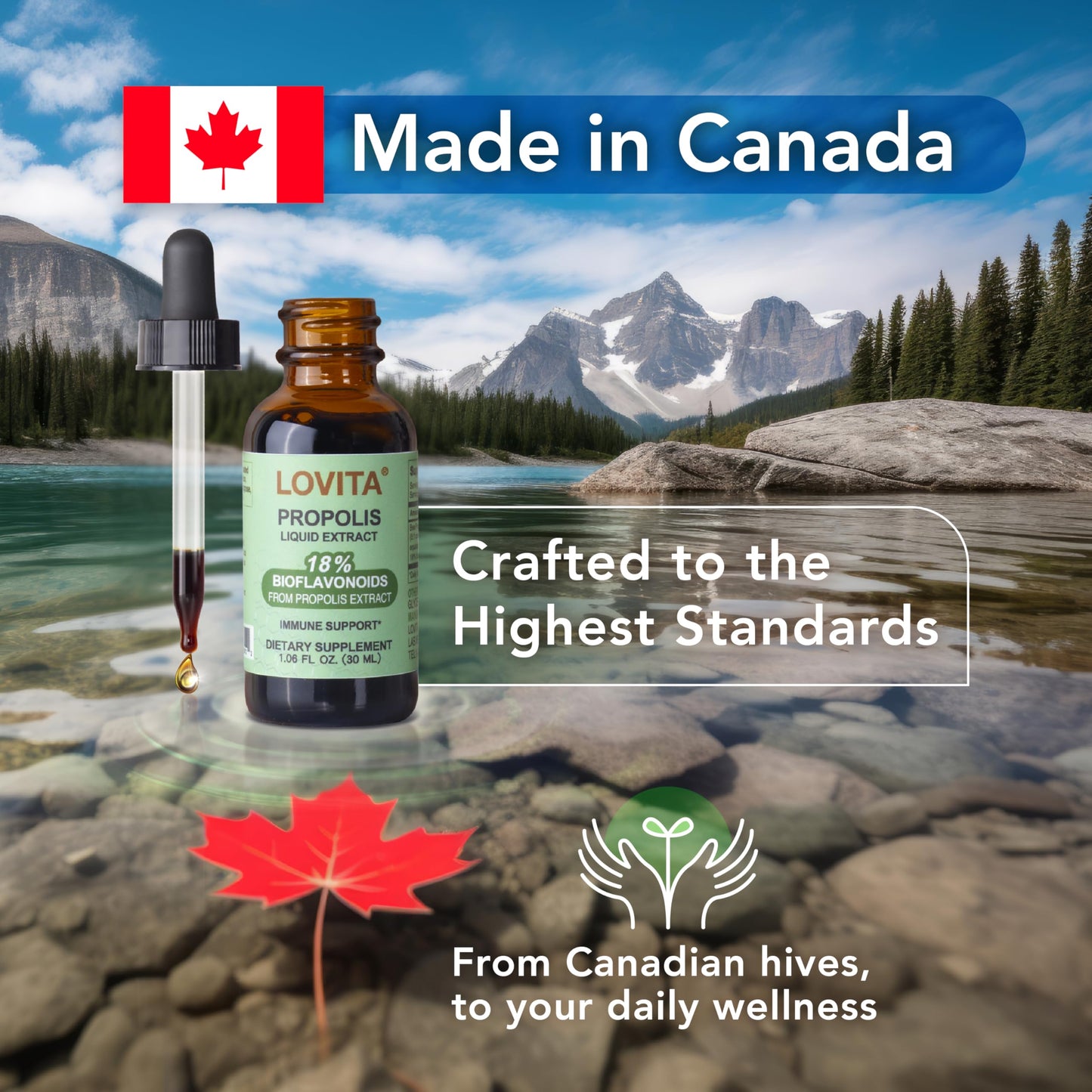 Bee Propolis Liquid Extract 500mg, 5:1 Resin Drops with 18% Bioflavonoids, Alcohol-Free Antioxidant, Immune Support & Throat Soothing, Gluten-Free, Non-GMO, 1 Fl Oz (30 mL), 30 Day Supply