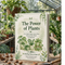The Power of Plants: An In-Depth Guide to the 10 Best House & Patio Plants for Beginners